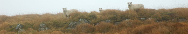 Mist Irish Mountains
